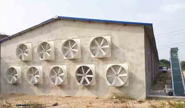 夏季豬舍通風(fēng)降溫 夏季豬舍通風(fēng)降溫