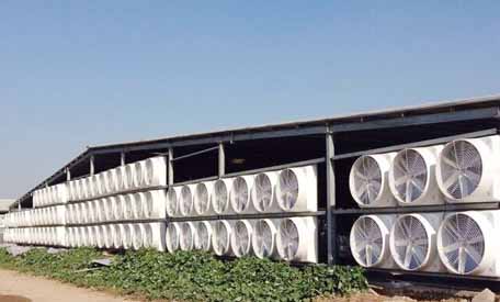 負壓風機通風降溫