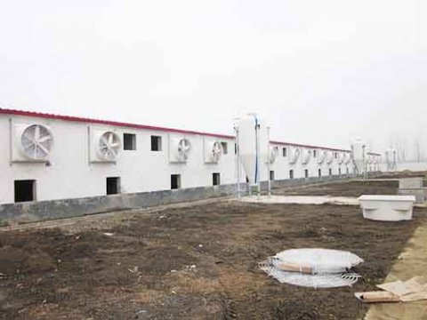 畜牧負壓風(fēng)機的技術(shù)參數(shù),畜牧風(fēng)機的噪音測量方法